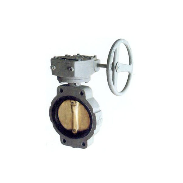 中心型蝸輪式蝶閥